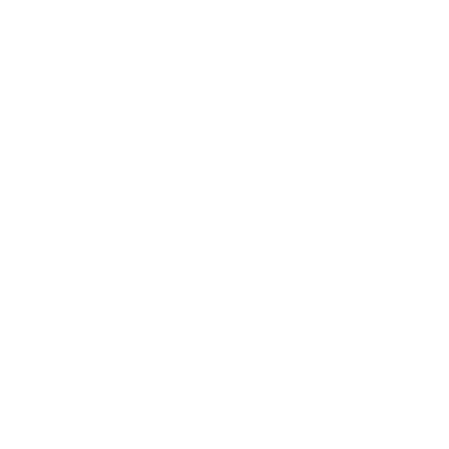 Ysstore.in
