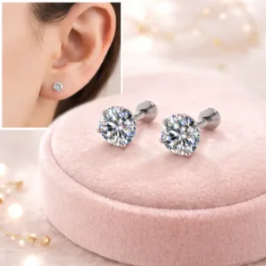 Silver Plated Stud Earrings Combo (2 Pairs) for Women & Girls